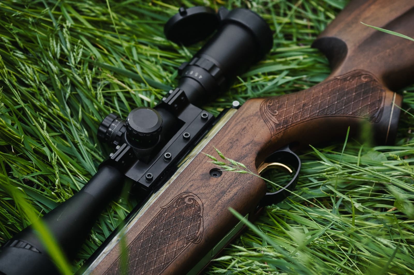 Best Air Rifles 2023: Your Guide To Top-Notch Precision & Power!